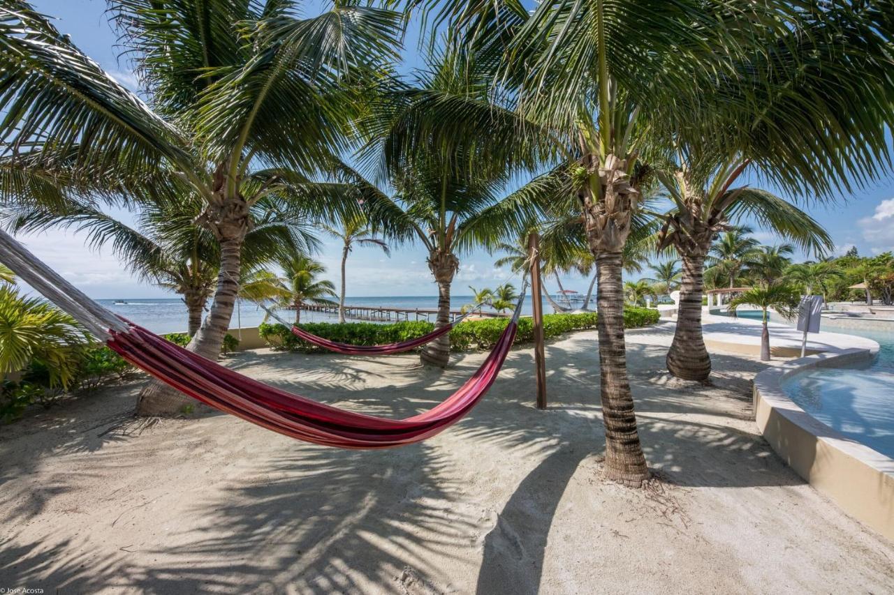 Belizean Cove Estates Luxury Beachfront Villa San Pedro  Exterior foto